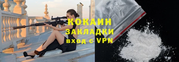 ПСИЛОЦИБИНОВЫЕ ГРИБЫ Абаза