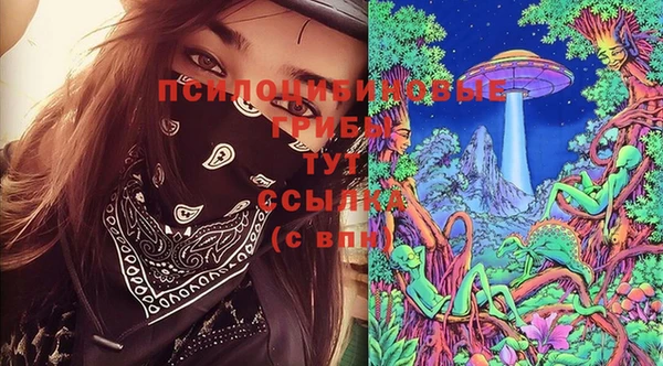 ПСИЛОЦИБИНОВЫЕ ГРИБЫ Абаза