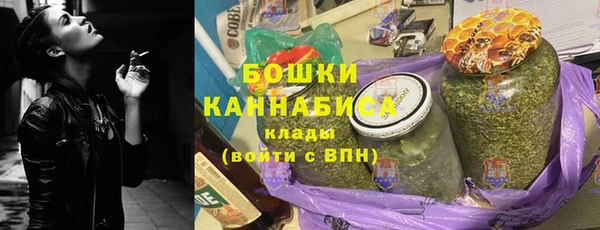 ПСИЛОЦИБИНОВЫЕ ГРИБЫ Абаза